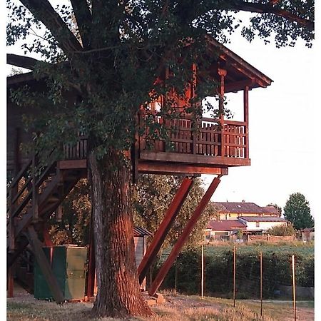 Вилла La Casa Sull'Albero Oasi Certosa Di Pavia Borgarello Экстерьер фото