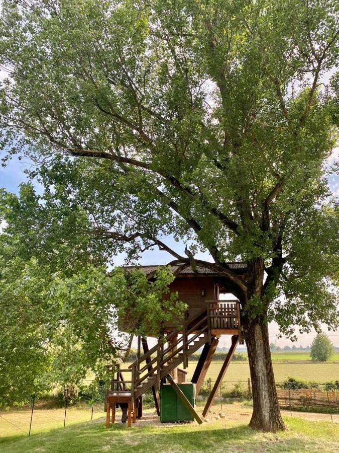 Вилла La Casa Sull'Albero Oasi Certosa Di Pavia Borgarello Экстерьер фото
