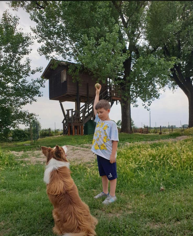Вилла La Casa Sull'Albero Oasi Certosa Di Pavia Borgarello Экстерьер фото