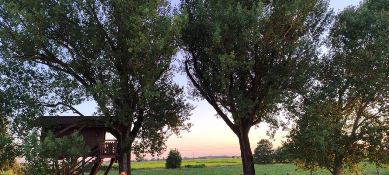 Вилла La Casa Sull'Albero Oasi Certosa Di Pavia Borgarello Экстерьер фото
