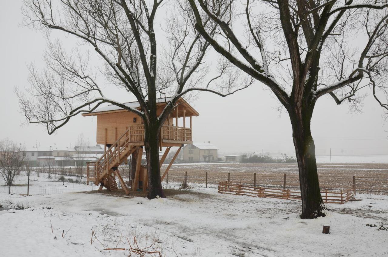 Вилла La Casa Sull'Albero Oasi Certosa Di Pavia Borgarello Экстерьер фото