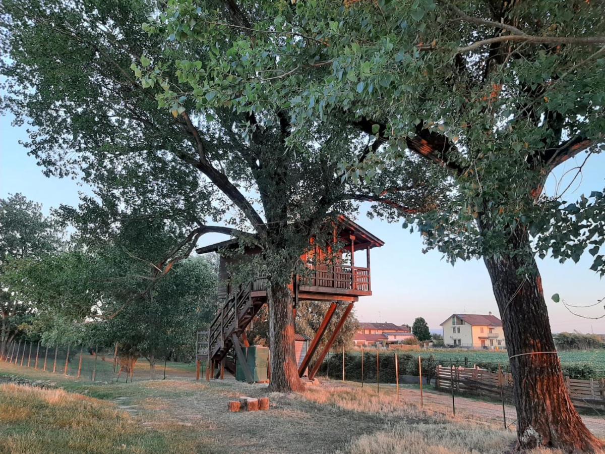 Вилла La Casa Sull'Albero Oasi Certosa Di Pavia Borgarello Экстерьер фото