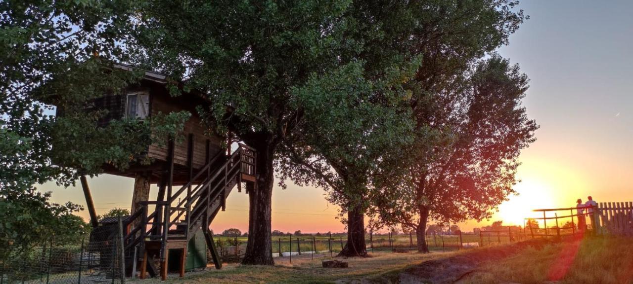 Вилла La Casa Sull'Albero Oasi Certosa Di Pavia Borgarello Экстерьер фото